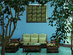 Winter garden