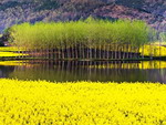 Nature of Shaanxi Province, China