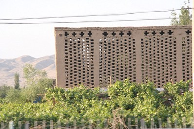 Buildings for drying raisins in Grape valley, Turpan