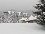 Winter view