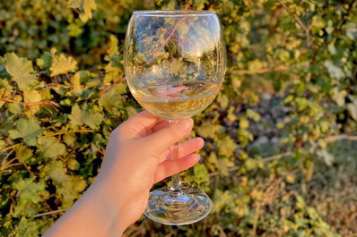 Ulevari Valley Winery, Georgia