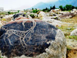 Cholpon-Ata - Petroglyphs