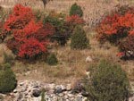 Kyrgyzstan nature