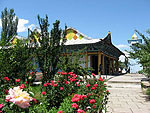 Karakol