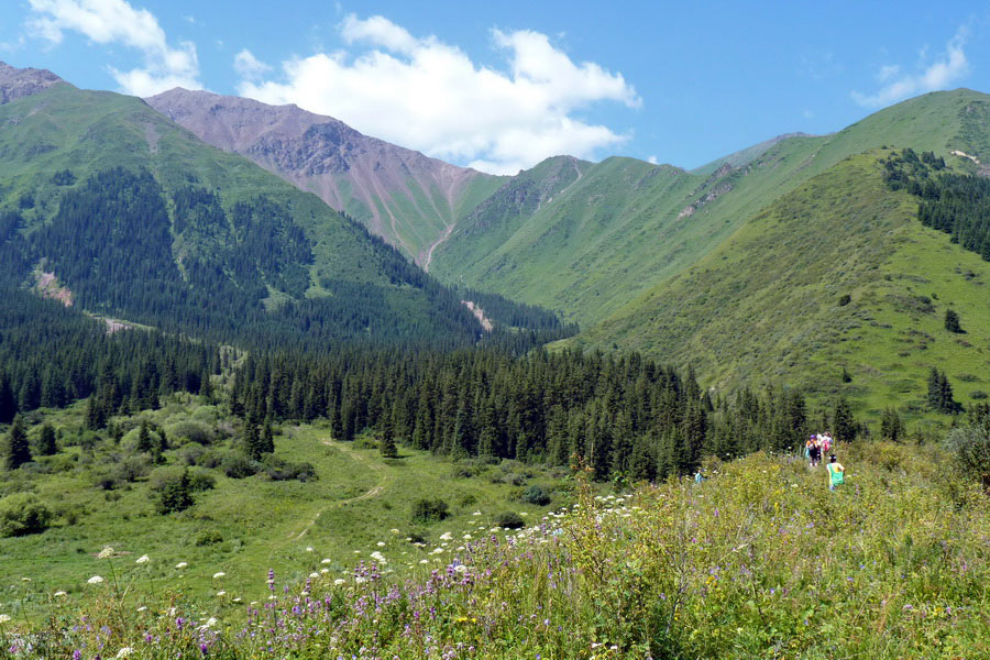 Ущелье Шамси, Кыргызстан