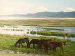 Kyrgyzstan photos