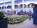 Melonen