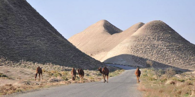 Dekhistan Tours, Turkmenistan
