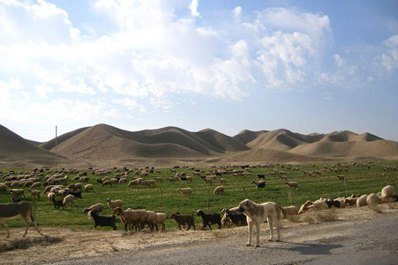 Dekhistan, Turkmenistan