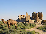 Landmarks and Attractions of Turkmenistan - Dekhistan