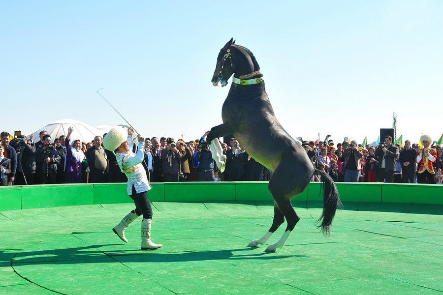 Ахалтекинские Кони, Туркменистан