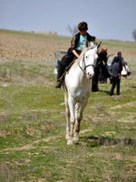  kupkari, Uzbekistan 