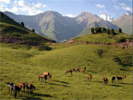 Ferghana Valley