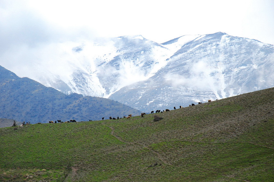 Nurata Mountains, Uzbekistan