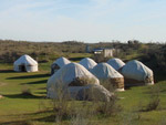 Safari Yurt Camp