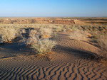 le Karakalpakstan