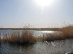 le Karakalpakstan