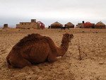 Le camp de yourtes Ayaz-Kala, l'Ouzbékistan