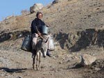 Villager and donkey