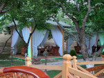 Tents