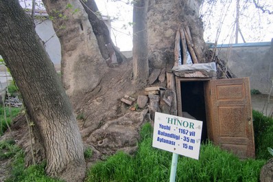 Giardino Chor-Chinor vicino a Samarcanda