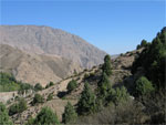 Shakhimardan