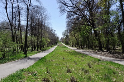 Jardín Botánico de Tashkent