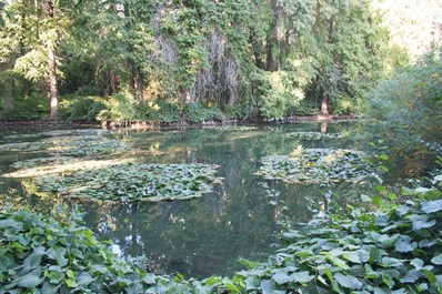 Jardín Botánico de Tashkent