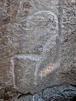 Hodjikent petroglyphs Hodjikent petroglyphs