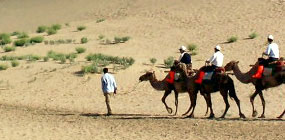 Silk Road Tours