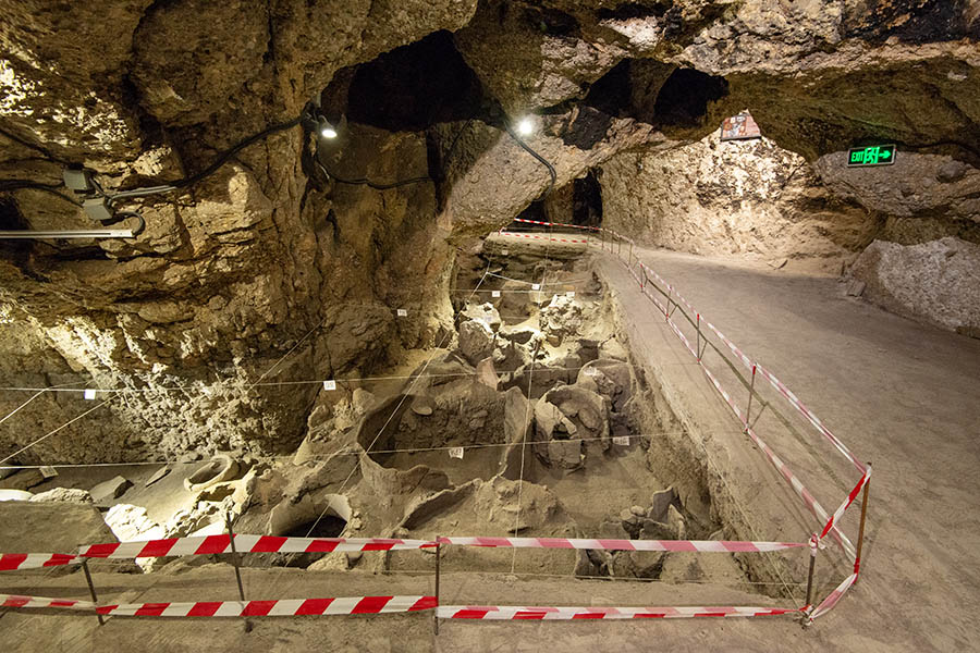 Group Tours and Private Areni Cave Trips