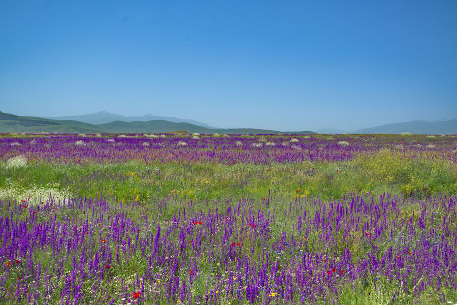 География, Армения