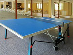 Table tennis