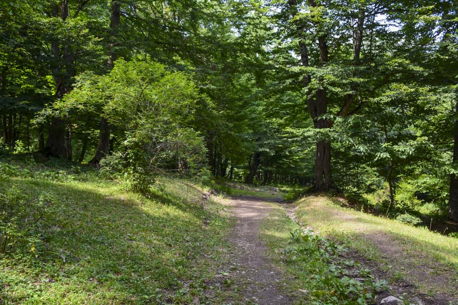 Dilijan National Park