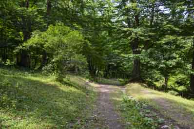 Dilijan National Park