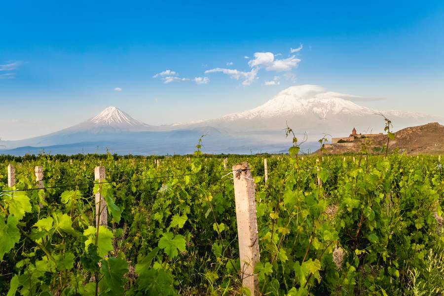 Винодельня, Хор Вирап, Армянское вино