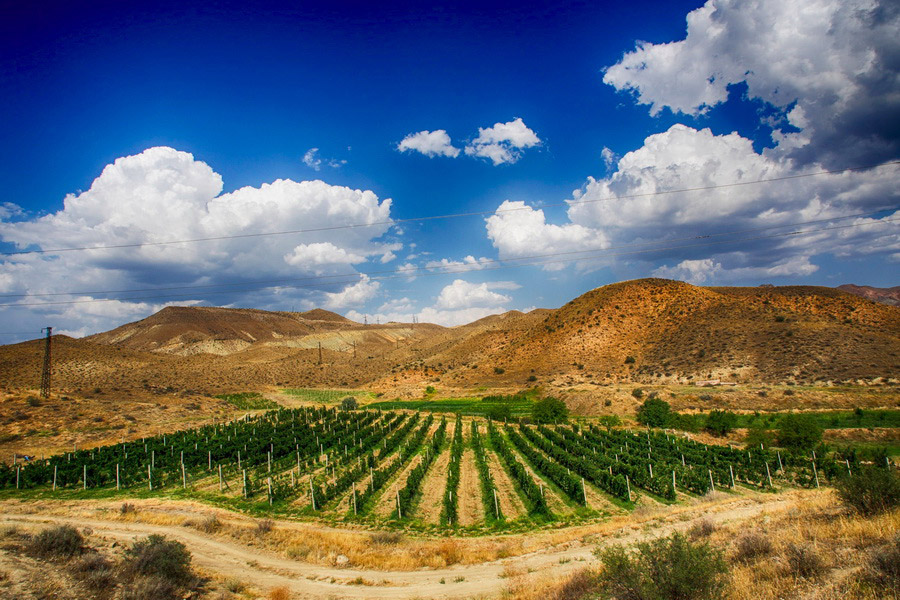 Old Bridge Winery, Armenia