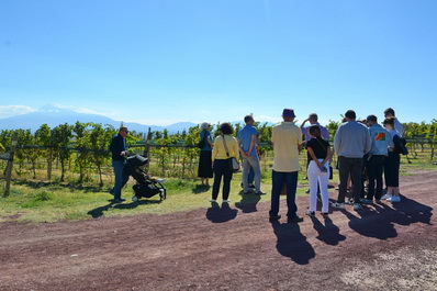 Van Ardi Winery, Armenia