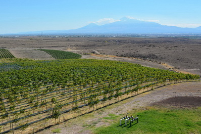 Van Ardi Winery, Armenia