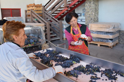 Van Ardi Winery, Armenia