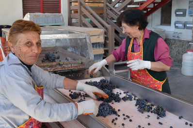 Van Ardi Winery, Armenia