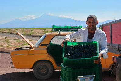 Van Ardi Winery, Armenia