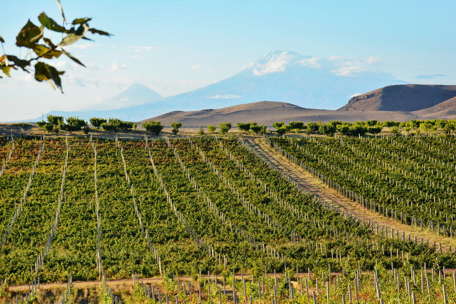 Armenian Wineries & Tasting Rooms