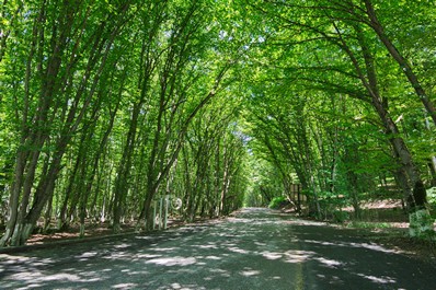 Nature of Azerbaijan