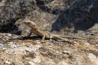 Nature of Azerbaijan