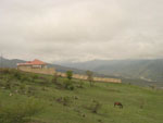 Nature Nature