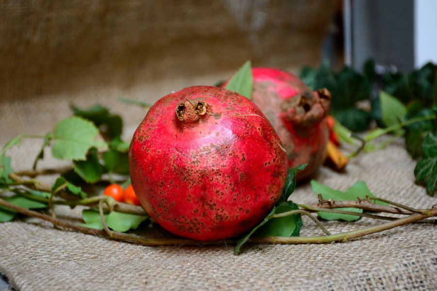 Azerbaijan Pomegranate Festival, Goychay