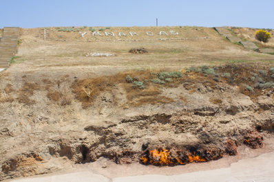 Yanardag