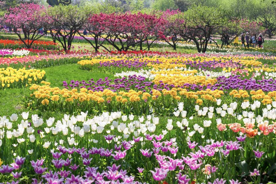 China National Botanical Garden, Beijing