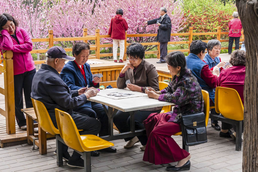 Daily Life in Jingshan Park, Beijing